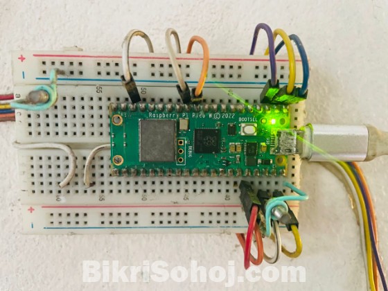 Raspberry Pi Pico W ( with Headers)